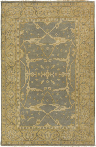 Surya Ainsley AIN-1010 Slate Area Rug 5'6'' x 8'6''