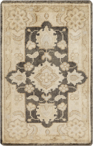 Surya Ainsley AIN-1012 Butter Area Rug 