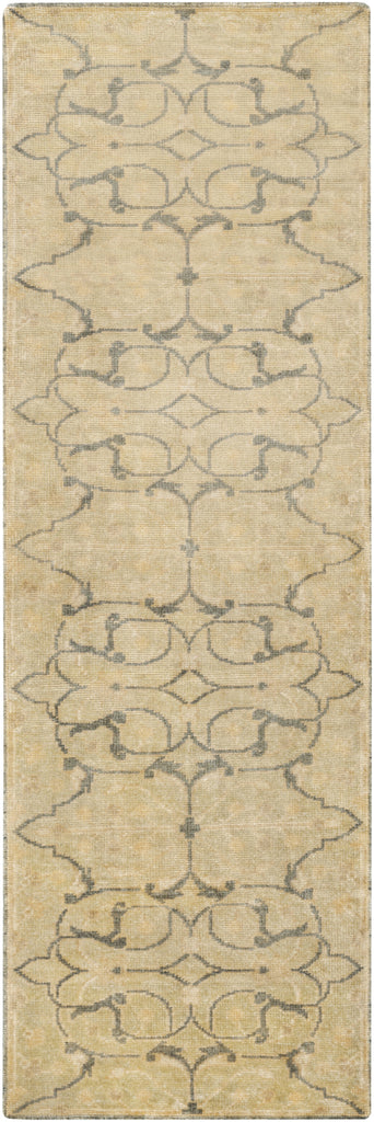 Surya Ainsley AIN-1013 Area Rug