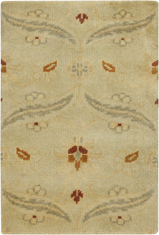 Surya Ainsley AIN-1014 Sea Foam Area Rug 2' x 3'