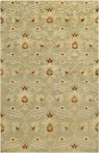 Surya Ainsley AIN-1014 Sea Foam Hand Knotted Area Rug 5'6'' x 8'6''