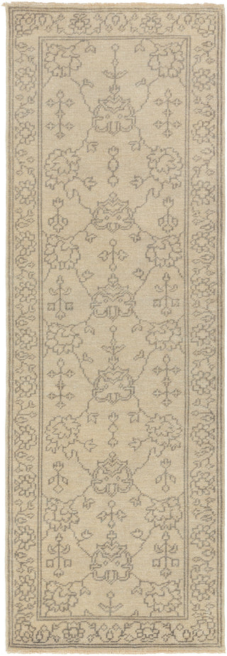 Surya Ainsley AIN-1018 Area Rug 2'6'' x 8'