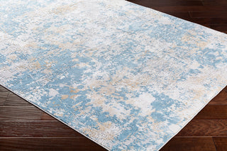 Surya Aisha AIS-2302 Area Rug on Wood 