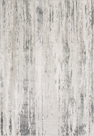 Surya Aisha AIS-2304 Medium Gray Charcoal Light White Area Rug main image