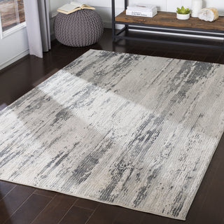 Livabliss Aisha AIS-2304 Area Rug