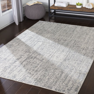 Livabliss Aisha AIS-2305 Area Rug