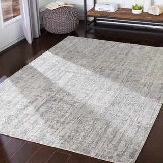 Surya Aisha AIS-2305 Area Rug Room Scene Feature