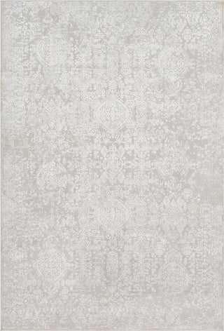 Surya Aisha AIS-2306 Light Gray White Area Rug main image