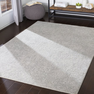 Livabliss Aisha AIS-2306 Area Rug