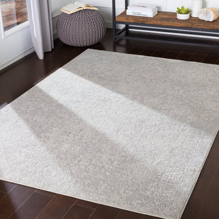 Surya Aisha AIS-2306 Area Rug Room Scene Feature