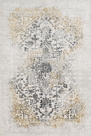 Surya Aisha AIS-2308 Charcoal Medium Gray Mustard Light Area Rug main image