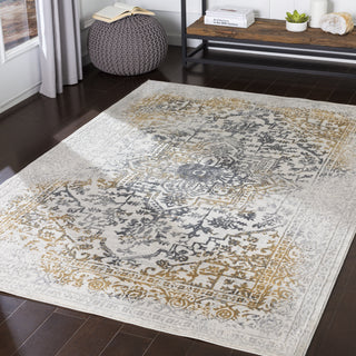 Livabliss Aisha AIS-2308 Area Rug