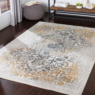 Surya Aisha AIS-2308 Area Rug Room Scene Feature