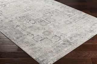 Surya Aisha AIS-2316 Area Rug