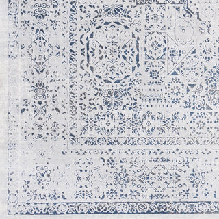 Surya Aisha AIS-2318 Area Rug