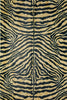 Dalyn Akina AK1 Gold Area Rug main image