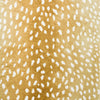 Dalyn Akina AK3 Gold Area Rug Closeup Image