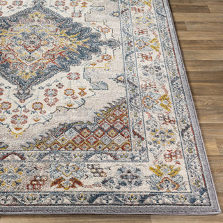 Livabliss Ankara AKR-2300 Area Rug