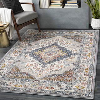 Livabliss Ankara AKR-2300 Area Rug