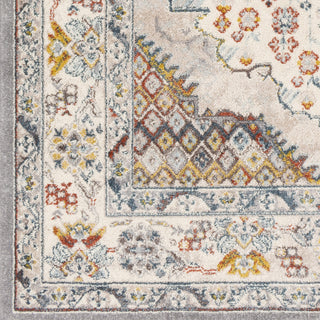 Livabliss Ankara AKR-2300 Area Rug