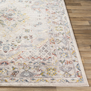 Livabliss Ankara AKR-2301 Area Rug