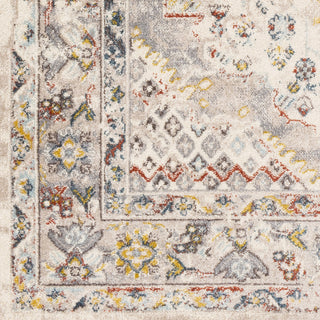 Livabliss Ankara AKR-2301 Area Rug