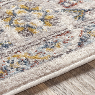 Livabliss Ankara AKR-2301 Area Rug