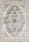 Surya Ankara AKR-2304 Area Rug main image