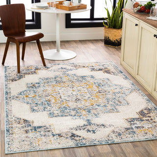 Surya Ankara AKR-2309 Area Rug Room Scene