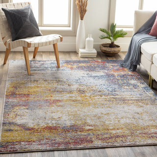 Surya Ankara AKR-2316 Area Rug Room Scene Feature