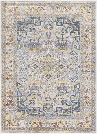 Livabliss Ankara AKR-2319 Area Rug