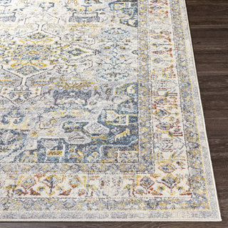 Livabliss Ankara AKR-2319 Area Rug