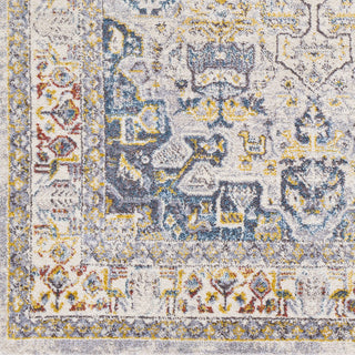 Livabliss Ankara AKR-2319 Area Rug