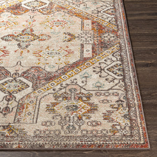 Livabliss Ankara AKR-2322 Area Rug