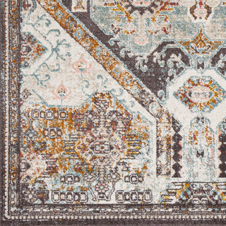 Livabliss Ankara AKR-2324 Area Rug