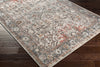 Livabliss Ankara AKR-2326 Area Rug