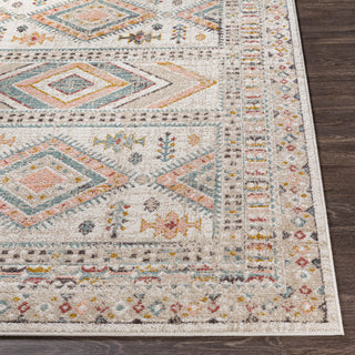 Livabliss Ankara AKR-2336 Area Rug