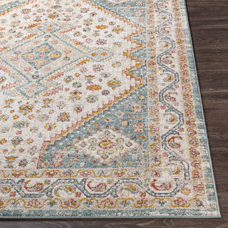 Livabliss Ankara AKR-2337 Area Rug