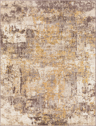 Surya Ankara AKR-2345 Area Rug main image