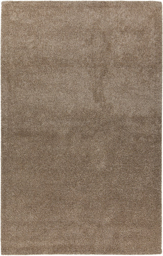 Chandra Alcon ALC-35500 Beige Area Rug main image