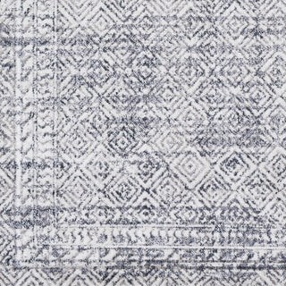 Surya Alice ALC-2303 Area Rug Swatch