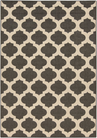 Surya Alfresco ALF-9584 Area Rug