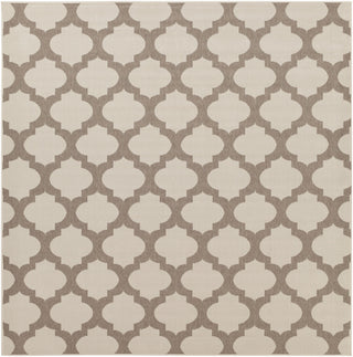 Surya Alfresco ALF-9586 Taupe Area Rug 8'9'' Square