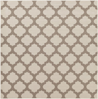 Surya Alfresco ALF-9586 Taupe Area Rug 8'9'' Square