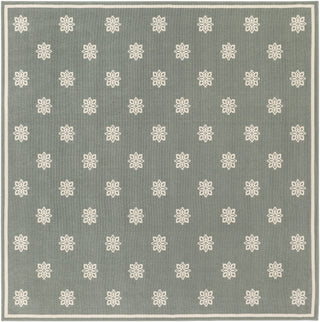 Surya Alfresco ALF-9606 Area Rug 8'9'' Square