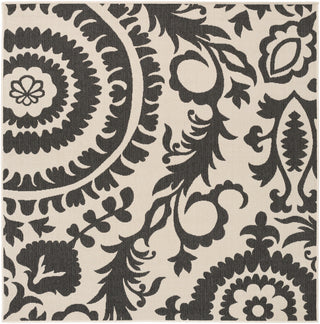 Surya Alfresco ALF-9612 Gray/Black Area Rug 7'3'' Square