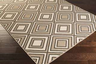 Surya Alfresco ALF-9619 Taupe Machine Loomed Area Rug Corner Shot