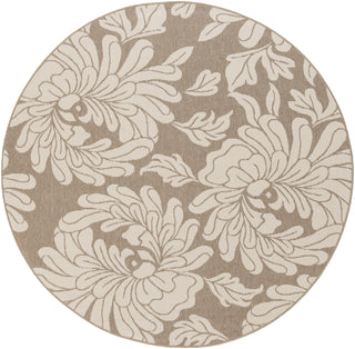 Surya Alfresco ALF-9623 Beige Area Rug 7'3'' Round