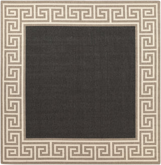 Surya Alfresco ALF-9626 Area Rug