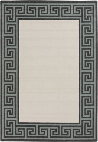 Surya Alfresco ALF-9627 Area Rug 